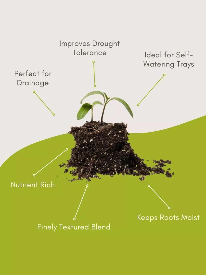 Organic Self-Watering Potting Mix, 20 Qts. 4 Organic Self-Watering Potting Mix, 20 Qts. - Image 4