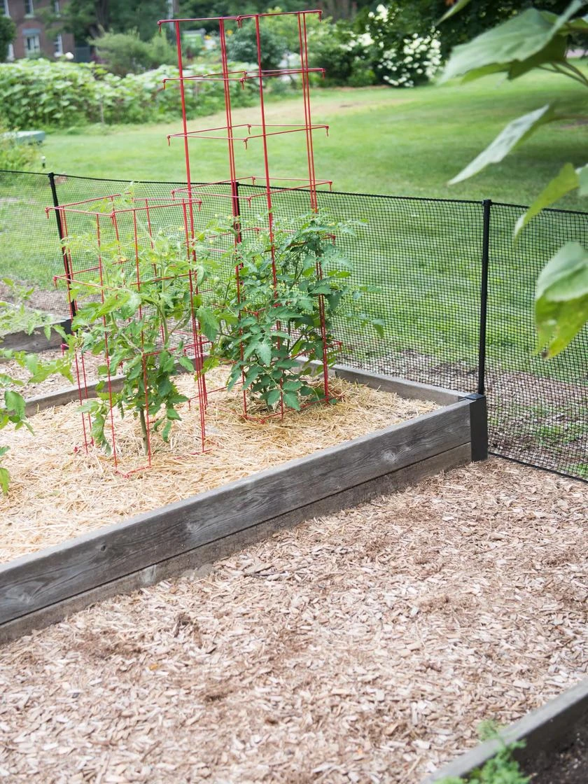 Chew-Proof Hardware Net, 3' X 25' 1 Chew-Proof Hardware Net, 3' X 25'