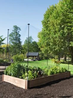 Protection Stakes For Netting, Set Of 4 8 Protection Stakes For Netting, Set Of 4 -Gardeners Supplies Sales 8594434 0015 tif