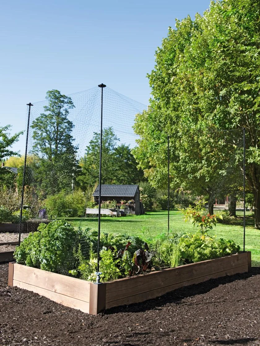 Protection Stakes For Netting, Set Of 4 4 Protection Stakes For Netting, Set Of 4 - Image 4