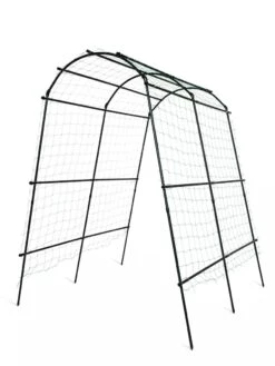 Titan Squash Tunnel 14 Titan Squash Tunnel -Gardeners Supplies Sales 8596276 3992 tif