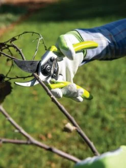 Gardener's Pro Pruner #2 -Gardeners Supplies Sales 8596605 032 tif