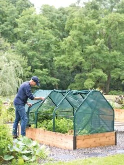 3-Season Plant Protection Tent, 4' X 8' -Gardeners Supplies Sales 8598282 0101 tif