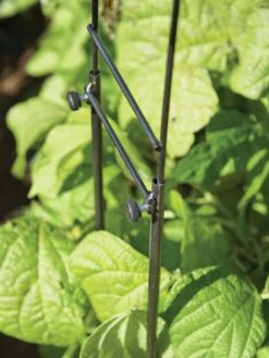 Adjustable Super Hoops, Set Of 3 -Gardeners Supplies Sales 8598301 0640 tif