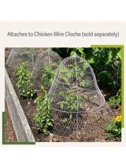 Chicken Wire Cloche Extension -Gardeners Supplies Sales 8599107 2