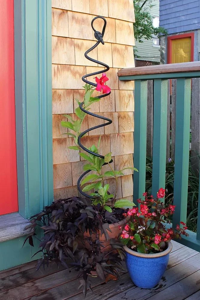 Achla Designs Spiral Trellis 1 Achla Designs Spiral Trellis