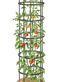 Titan Tall Tomato Cages, Set Of 3 -Gardeners Supplies Sales 8599860 0002 art tif