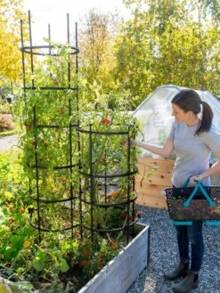 Titan Tomato Cages, Set Of 3 9 Titan Tomato Cages, Set Of 3 -Gardeners Supplies Sales 8599861 0114 tif