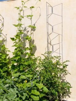 Vertex Universal Tall Tower -Gardeners Supplies Sales 8600015 0053 tif