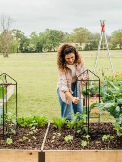 Zenith Folding Garden Supports, Set Of 2 -Gardeners Supplies Sales 8600073 324 tif