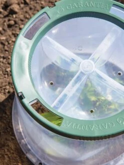 Sunny Forcing Cloches, Set Of 3 9 Sunny Forcing Cloches, Set Of 3 -Gardeners Supplies Sales 8600075 0742 tif