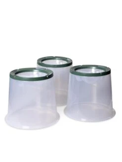 Sunny Forcing Cloches, Set Of 3 8 Sunny Forcing Cloches, Set Of 3 -Gardeners Supplies Sales 8600075 24 tif