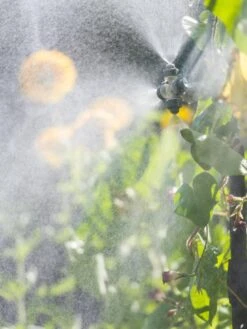 Landscape 4-Way Cooling Mist Kit, 50' -Gardeners Supplies Sales 8600154 0695 tif