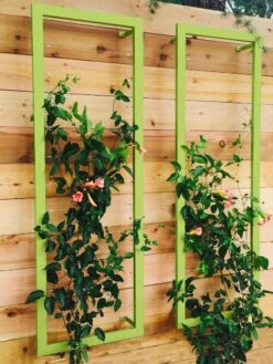 Ina Modern Wall Trellis Sr. -Gardeners Supplies Sales 8600510 01V tif