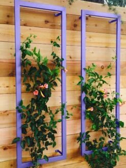 Ina Modern Wall Trellis Sr. -Gardeners Supplies Sales 8600510 07V tif