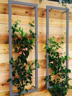 Ina Modern Wall Trellis Sr. -Gardeners Supplies Sales 8600510 08V jpg