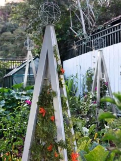 Akoris Garden Tuteur Jr. -Gardeners Supplies Sales 8600517 07V tif