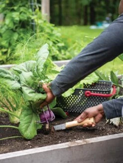 Gardener's Lifetime Hori Hori Knife 7 Gardener's Lifetime Hori Hori Knife -Gardeners Supplies Sales 8608888 0422 tif