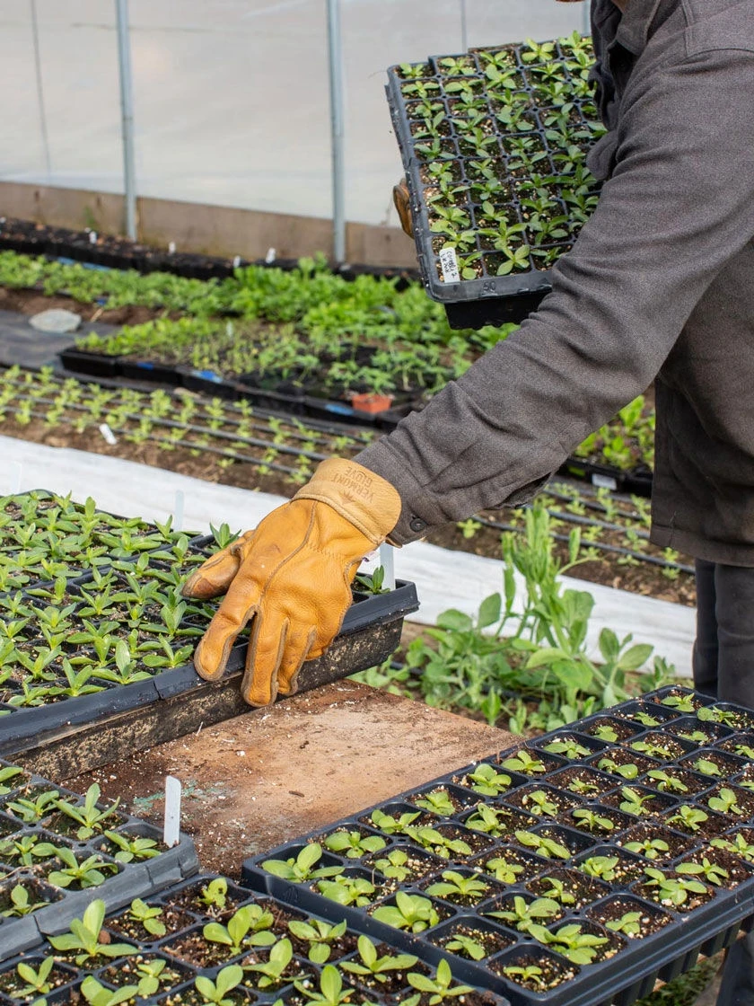 The Vermonter By Vermont Glove 3 The Vermonter By Vermont Glove - Image 3