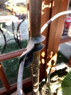 Garden Cane Connects, Set Of 6 6 Garden Cane Connects, Set Of 6 -Gardeners Supplies Sales 8609019 03V tif