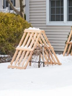 Cedar Shrub Guard 10 Cedar Shrub Guard -Gardeners Supplies Sales 8609071 3531 cedar shrub guard