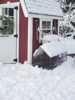 Chicken Wire Crop Coop -Gardeners Supplies Sales 8609080 03IN tif