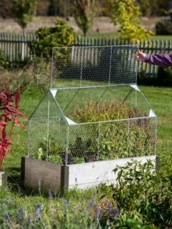 Chicken Wire Crop Coop -Gardeners Supplies Sales 8609080 4024