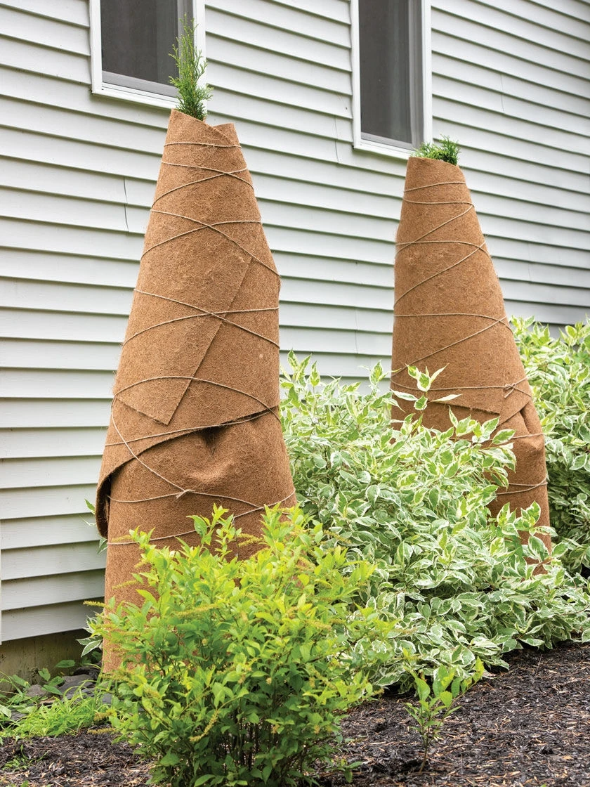 Coir Shrub Wraps 8' X 3', Set Of 2 1 Coir Shrub Wraps 8' X 3', Set Of 2