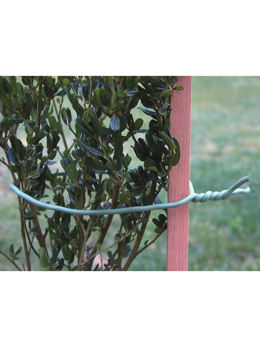 Rapiclip Soft Wire Tie 8", Set Of 20 2 Rapiclip Soft Wire Tie 8", Set Of 20 - Image 2