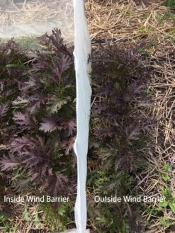 Wind Screen -Gardeners Supplies Sales 8610175 1245 tif