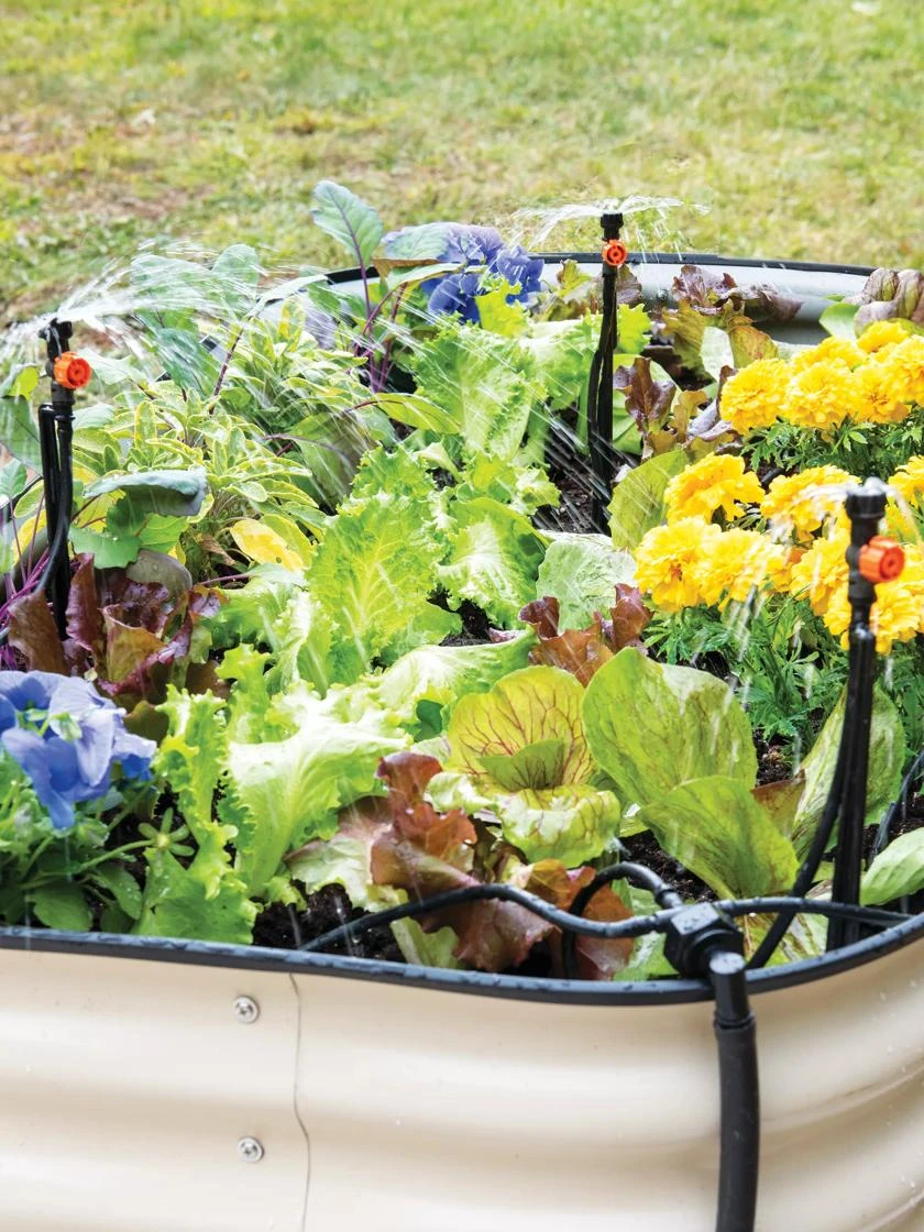 Raised Bed Bubblers Irrigation Kit 1 Raised Bed Bubblers Irrigation Kit