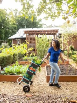 Mod Hod Trolley With Teal Mod Hods 7 Mod Hod Trolley With Teal Mod Hods -Gardeners Supplies Sales 8610240 0070 tif