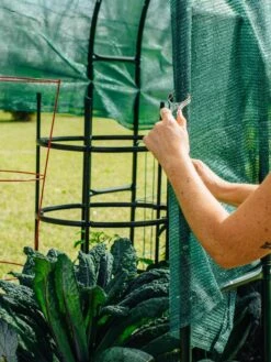 Maxi Garden Hoops With Clips 12 Maxi Garden Hoops With Clips -Gardeners Supplies Sales 8610372 368 tif