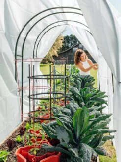 Maxi Garden Hoops With Clips 11 Maxi Garden Hoops With Clips -Gardeners Supplies Sales 8610373 377 tif