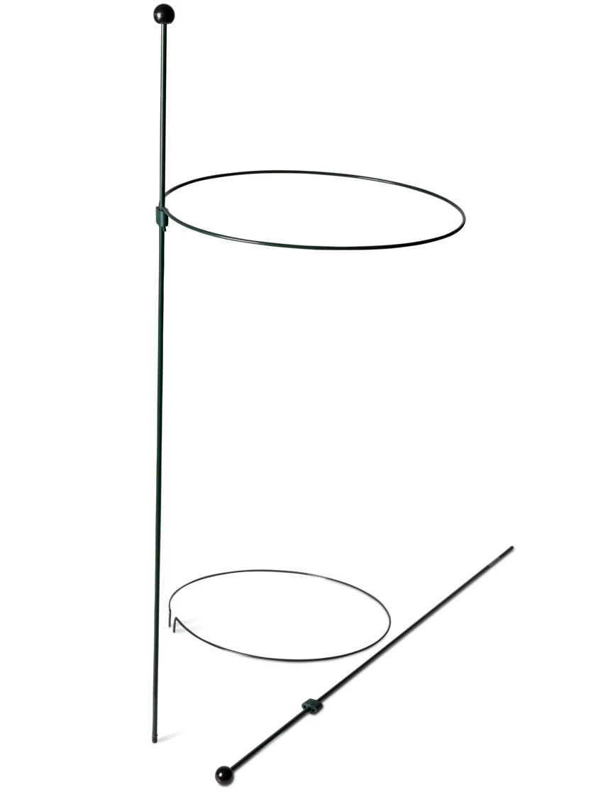 Peacock Classic Plant Support Rings 15", Set Of 2 4 Peacock Classic Plant Support Rings 15", Set Of 2 - Image 4