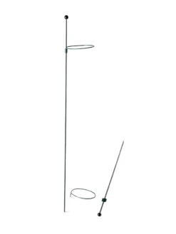 Peacock Mini Plant Support Rings 4", Set Of 2 -Gardeners Supplies Sales 8610386 9566