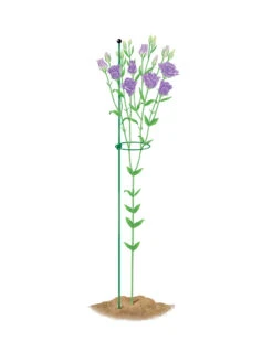 Peacock Mini Plant Support Rings 4", Set Of 2 -Gardeners Supplies Sales 8610386 peacock4x36