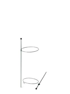 Peacock Mini Plant Support Rings 8", Set Of 2 12 Peacock Mini Plant Support Rings 8", Set Of 2 -Gardeners Supplies Sales 8610387 9571 tif