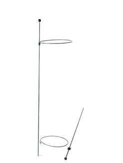 Peacock Mini Plant Support Rings 8", Set Of 2 13 Peacock Mini Plant Support Rings 8", Set Of 2 -Gardeners Supplies Sales 8610388 9565 tif