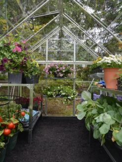 Canopia® By Palram Harmony™ Greenhouse, 6' X 14' 11 Canopia® By Palram Harmony™ Greenhouse, 6' X 14' -Gardeners Supplies Sales 8610563 03V jpg