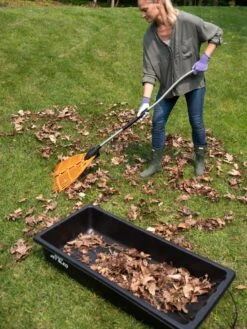 Gardener's Summer Sled 10 Gardener's Summer Sled -Gardeners Supplies Sales 8611047 025 tif 1