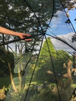 GardenSkill Pop N Crop Plant Umbrella -Gardeners Supplies Sales 8611105 09V tif