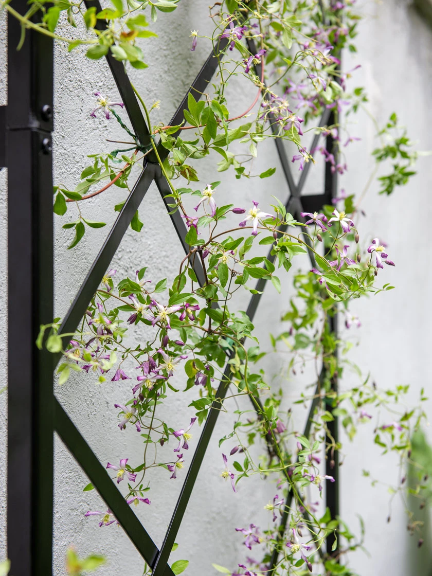 Lattice Gable Wall Trellis 3 Lattice Gable Wall Trellis - Image 3