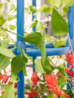 Fleur De Lis Obelisk, 67" -Gardeners Supplies Sales 8611663 0607 tif