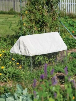 Crop Coop Covers Set -Gardeners Supplies Sales 8611698 004 tif