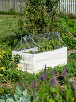 Crop Coop Covers Set -Gardeners Supplies Sales 8611698 005 tif