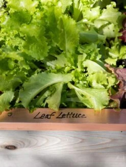 Re-Markable Raised Bed Trim -Gardeners Supplies Sales 8611757 326 tif