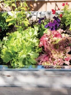 Re-Markable Raised Bed Trim -Gardeners Supplies Sales 8611758 306 tif