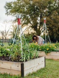 DIY Connector For Teepee Trellis 19 DIY Connector For Teepee Trellis -Gardeners Supplies Sales 8611896 38 tif