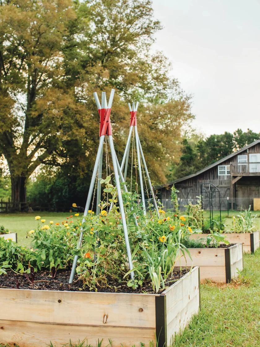 DIY Connector For Teepee Trellis 7 DIY Connector For Teepee Trellis - Image 7